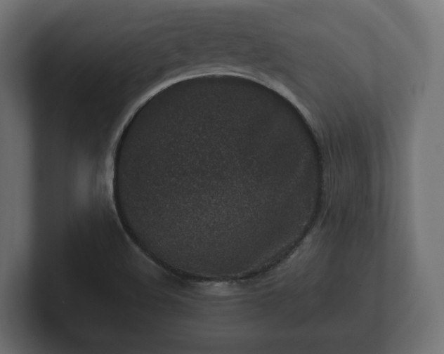 X0000102791508200808251018