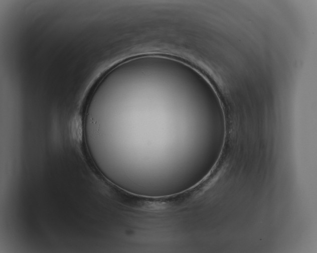 X0000102791509200808251018
