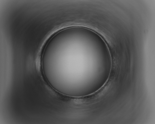 X0000102791511200808251018