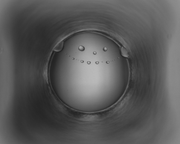X0000102791513200808251018