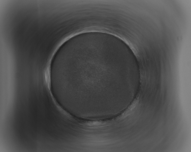 X0000102791515200808251018