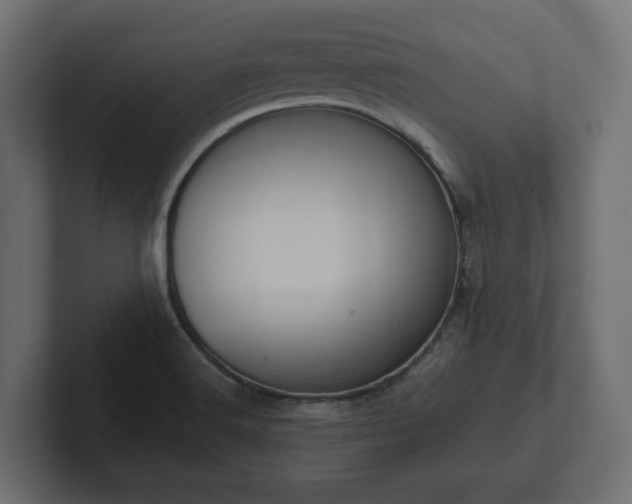 X0000102791516200808251018