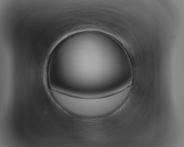 X0000102791518200808251018