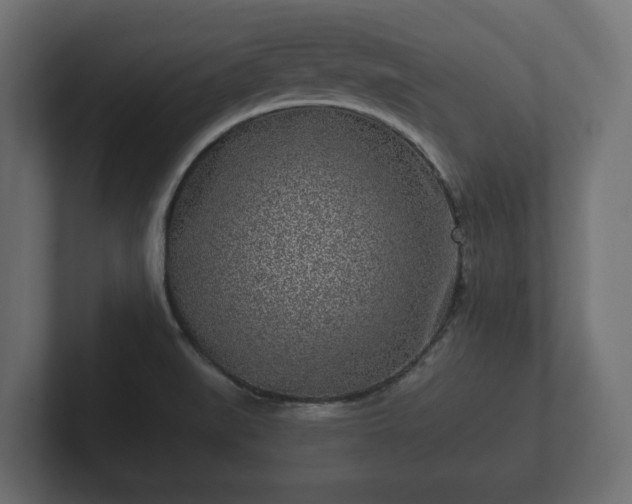 X0000102791519200808251018