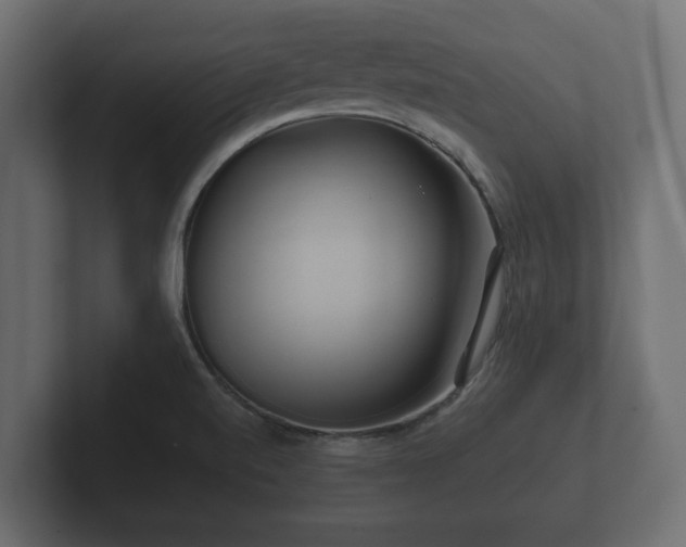 X0000102791520200808251018
