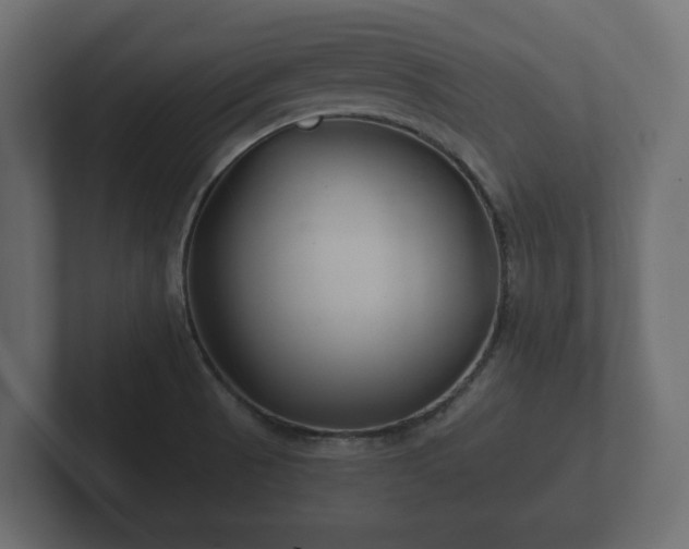 X0000102791521200808251018