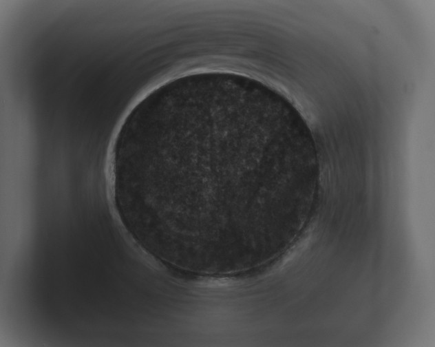 X0000102791522200808251018