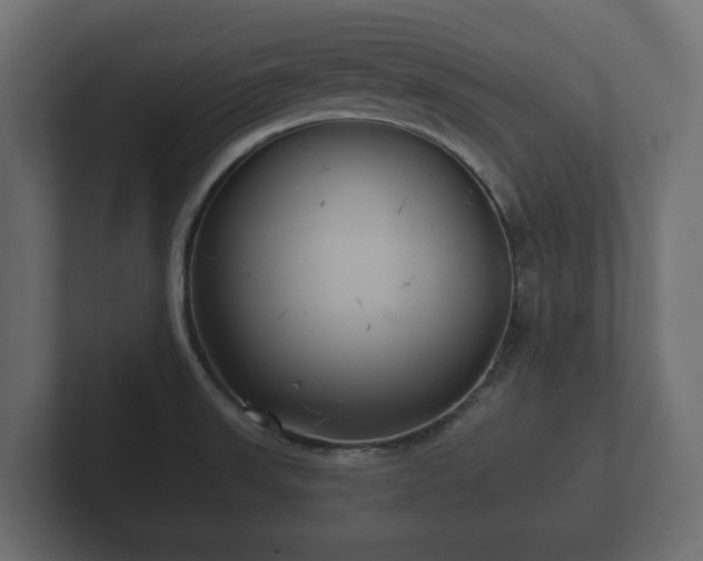 X0000102791523200808251018