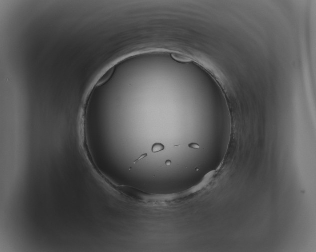 X0000102791524200808251018