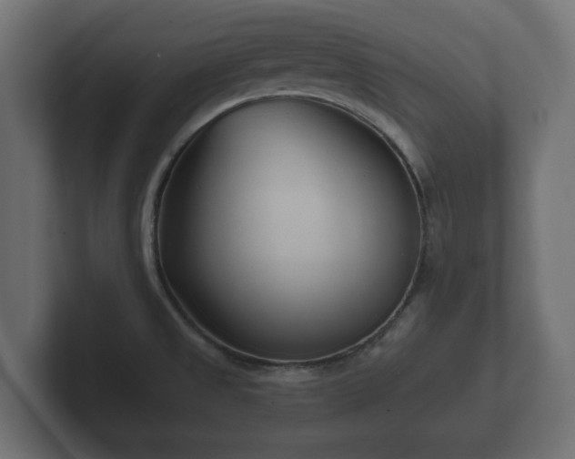 X0000102791525200808251018