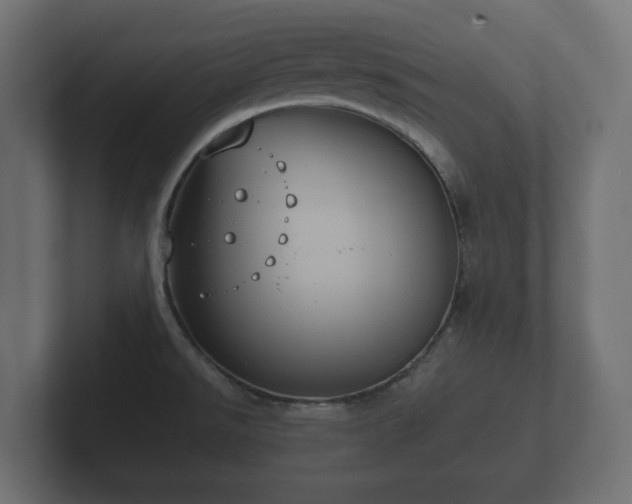 X0000102791526200808251018