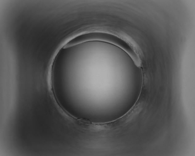 X0000102791528200808251018