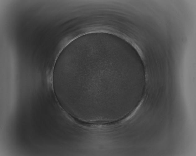 X0000102791529200808251018