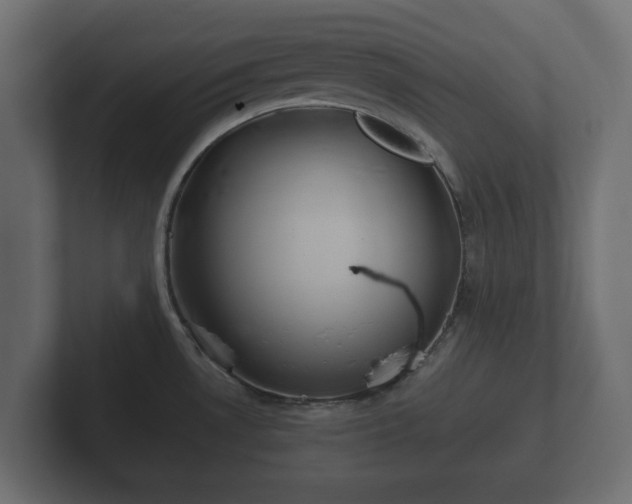 X0000102791530200808251018