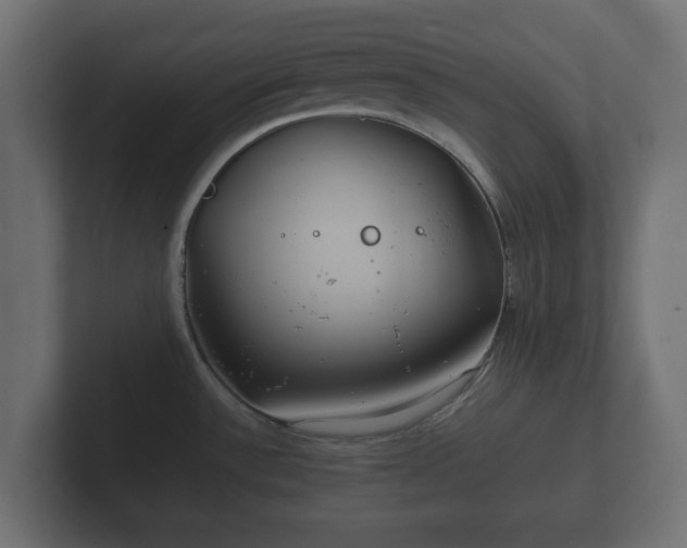 X0000102791532200808251018