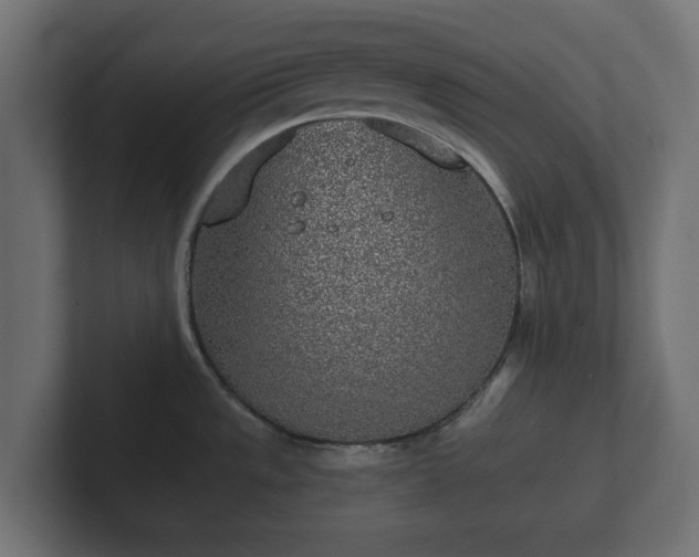 X0000102791533200808251018