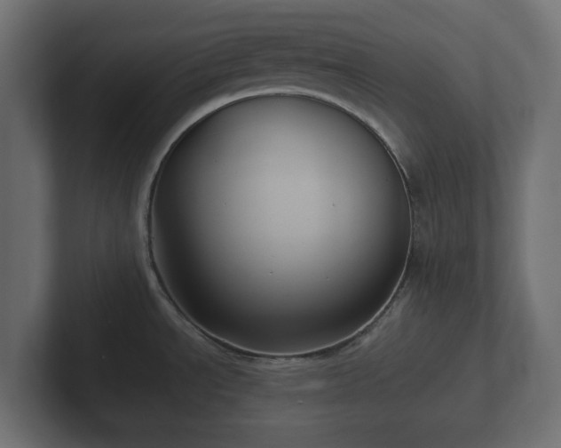 X0000102791534200808251018