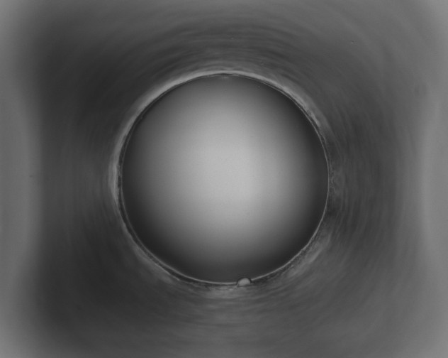 X0000102791535200808251018