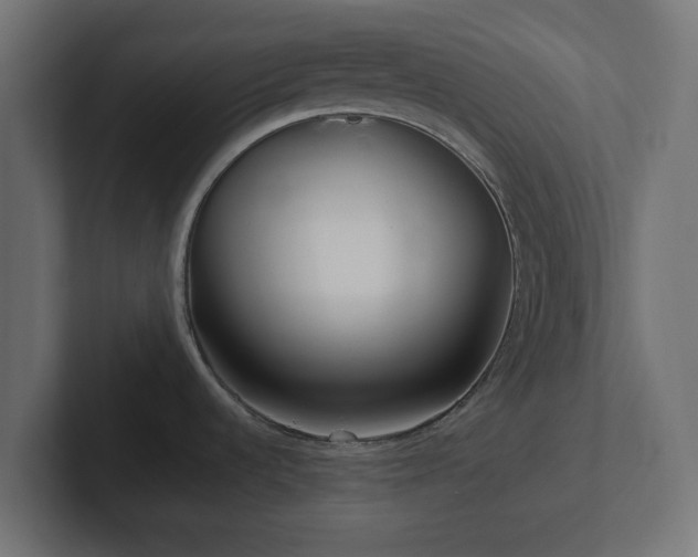 X0000102791536200808251018