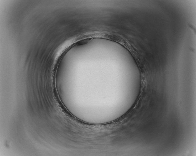 X0000102790006200809021124