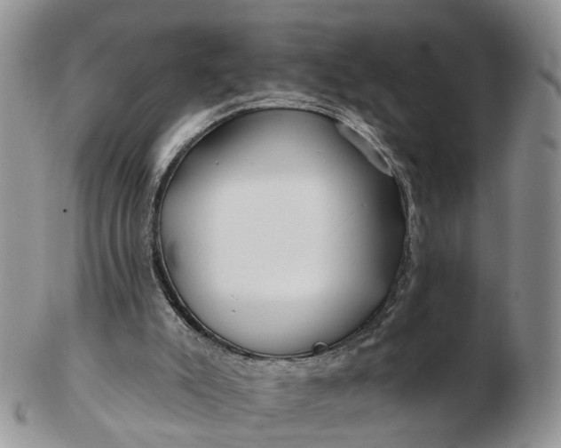 X0000102790007200809021124