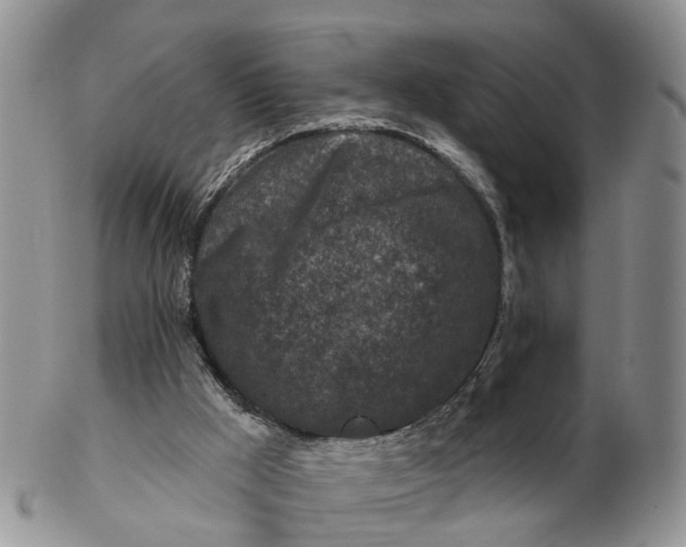 X0000102790009200809021124