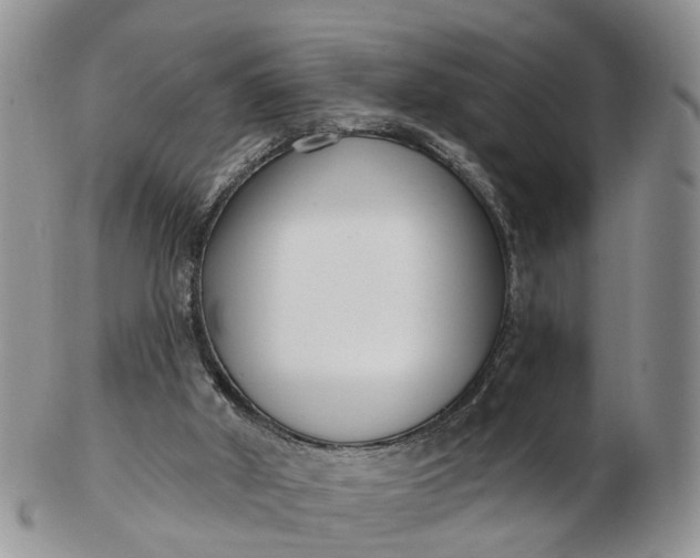 X0000102790010200809021124