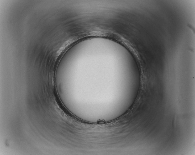 X0000102790011200809021124