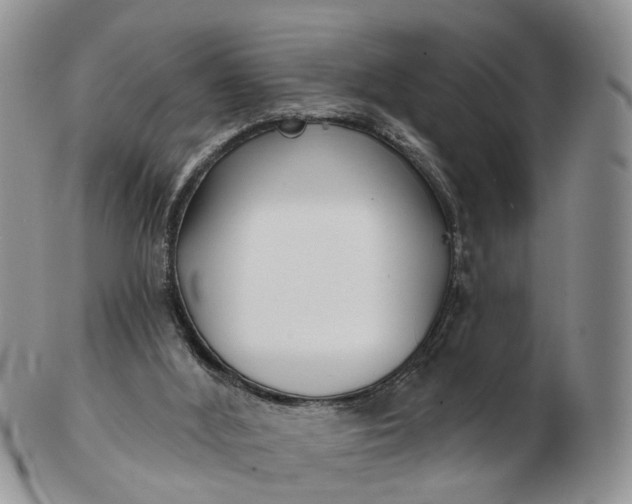 X0000102790012200809021124