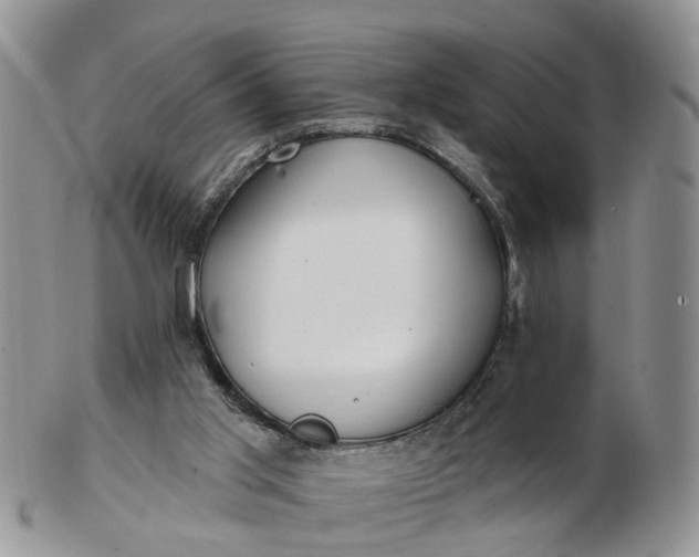 X0000102790013200809021124