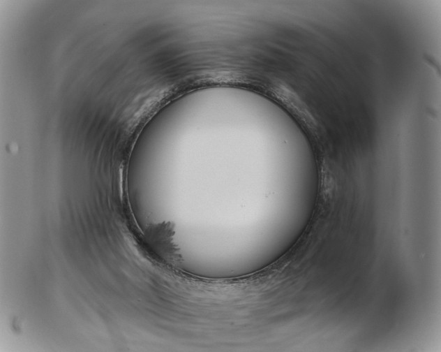 X0000102790014200809021124