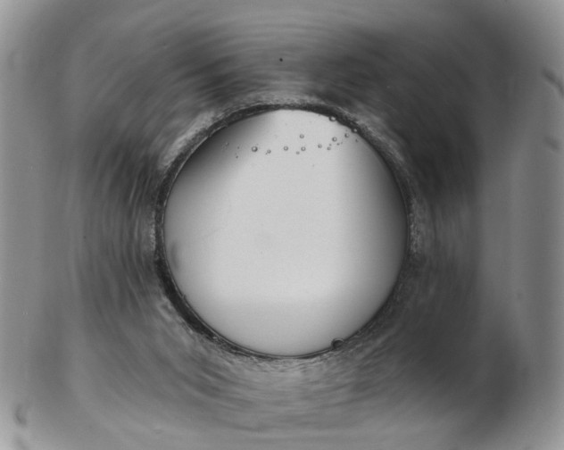 X0000102790015200809021124