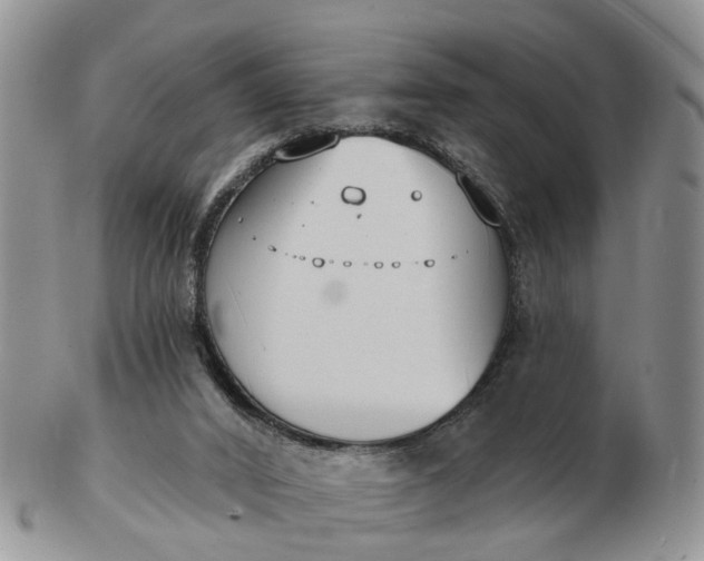 X0000102790016200809021124