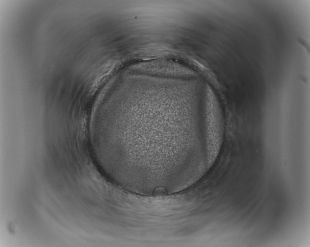 X0000102790018200809021124