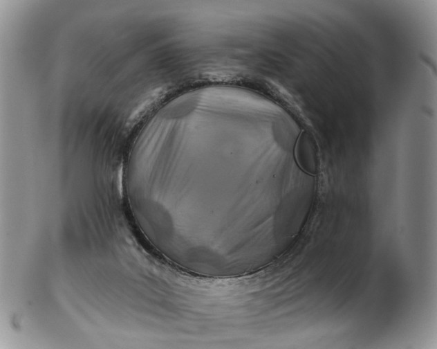 X0000102790019200809021124