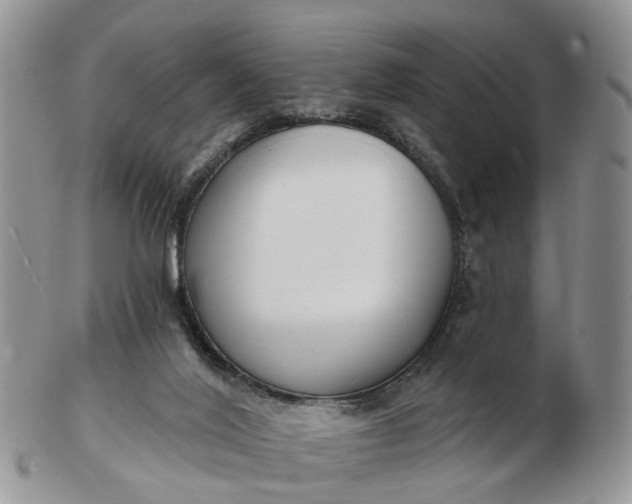 X0000102790020200809021124