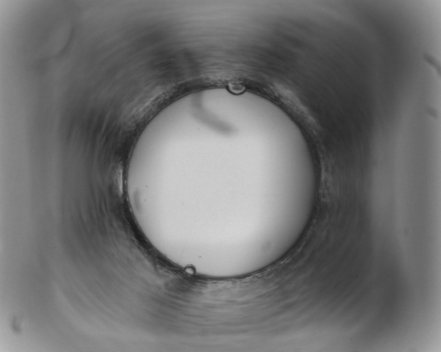 X0000102790021200809021124