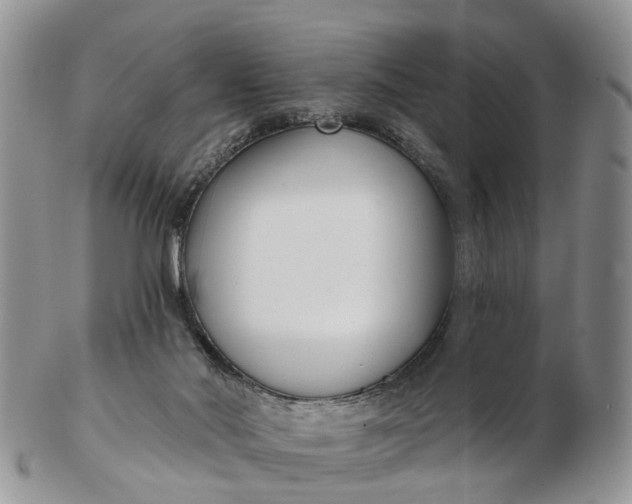 X0000102790022200809021124