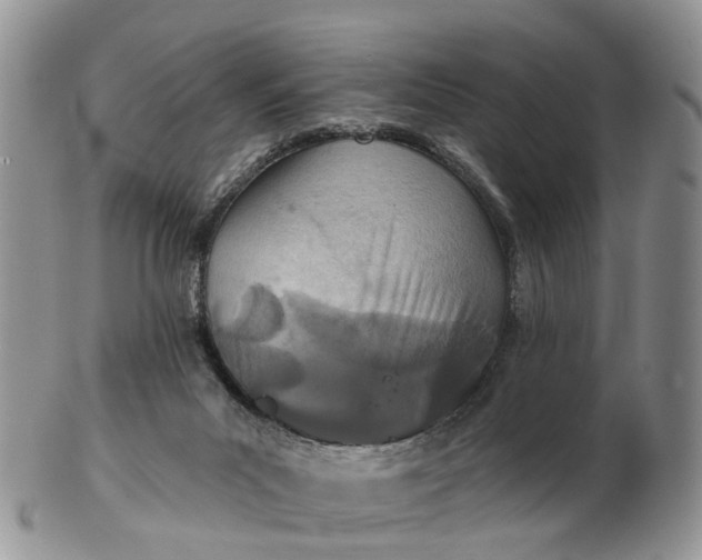 X0000102790023200809021124