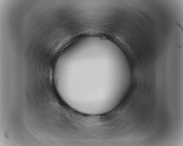 X0000102790024200809021124