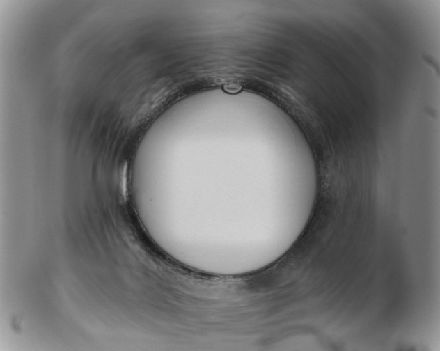 X0000102790028200809021124