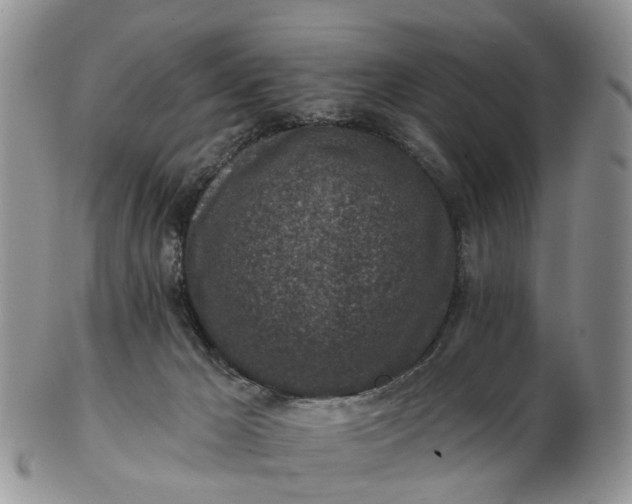 X0000102790029200809021124