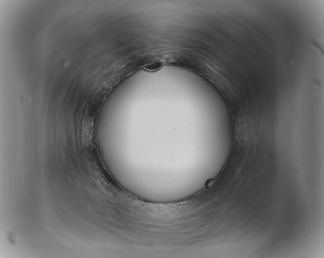 X0000102790030200809021124