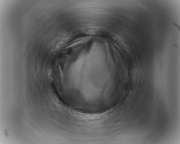 X0000102790031200809021124