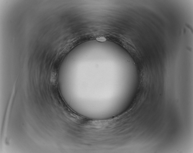 X0000102790033200809021124