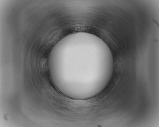 X0000102790034200809021124