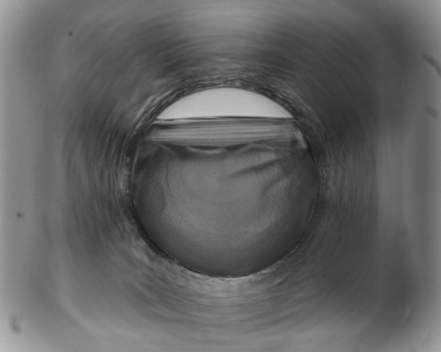 X0000102790035200809021124