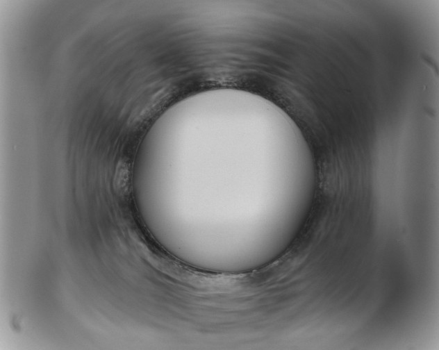 X0000102790036200809021124