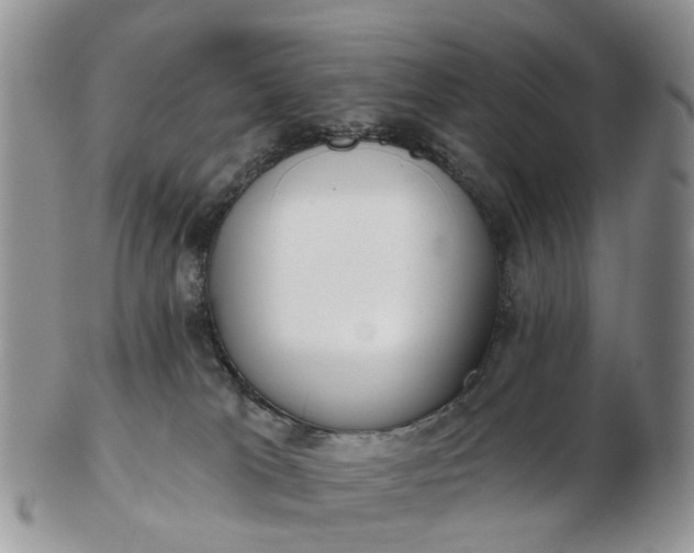 X0000102790037200809021124