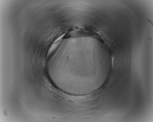 X0000102790039200809021124